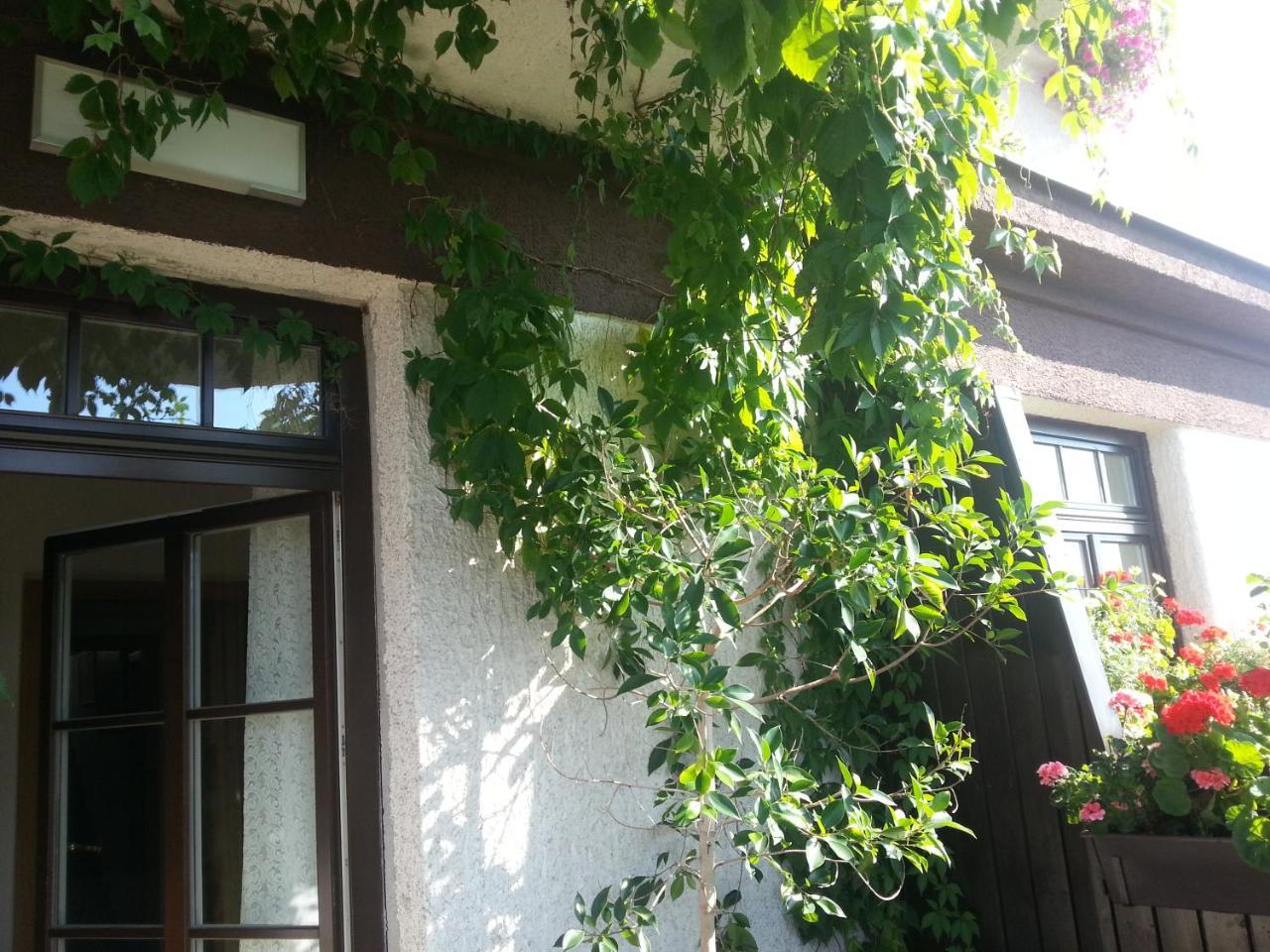 Antik Hotel Sofia ลิโตมิเชล ภายนอก รูปภาพ